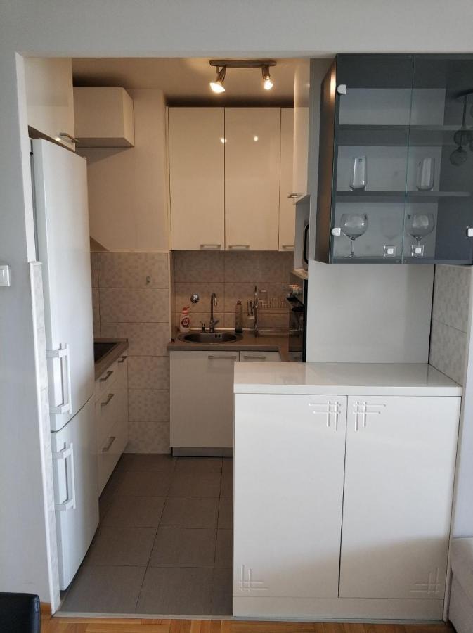 Appartamento Alexplatz Danube View Belgrado Esterno foto